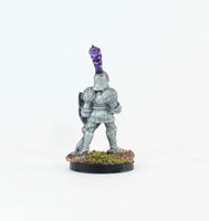 PTD FL15-03: Knight in plate with Sword and Shield