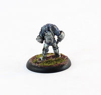 PTD SM5 Space Trooper with Force Axe in Battle Armour