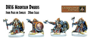 DH16 Mountain Dwarfs (Pack or Single Miniature)