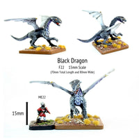 F22 Black Dragon (80mm long)