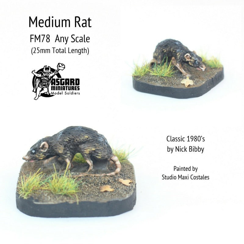 Meidem Rats FM78 Medium Rat - Save 50% | Alternative Armies
