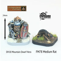 FM78 Medium Rat