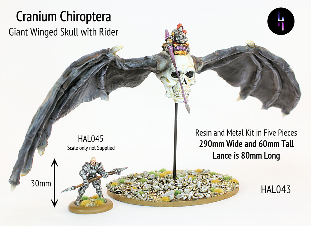 HAL043 Cranium Chiroptera (290mm across) with Rider