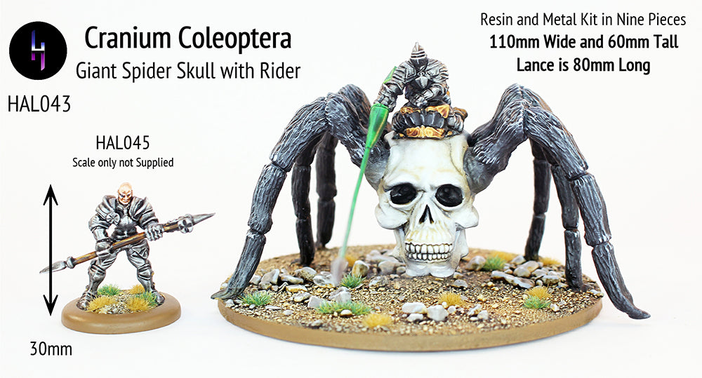 HAL044 Cranium Coleoptera (110mm across) with Rider