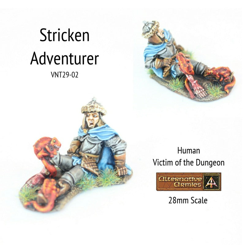 VNT29-02 Stricken Adventurer  (Save 50%)