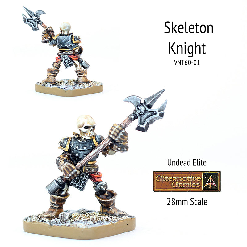 VNT60-01 Skeleton Knight armoured with Poleaxe
