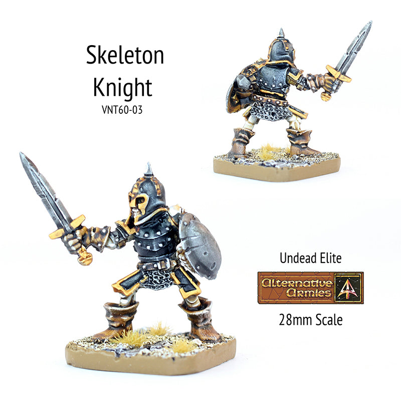 VNT60-03 Skeleton Knight armoured with Sword and Shield
