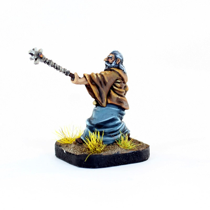 20910 Western Wizard