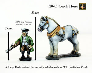 5107C Coaching Horse