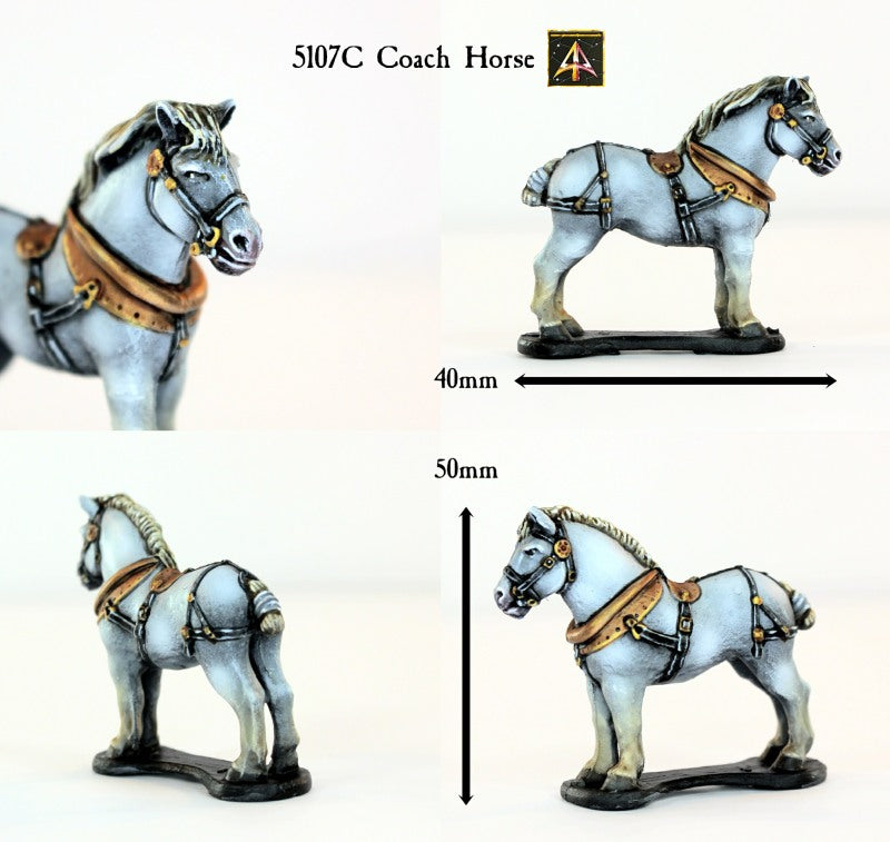 5107C Coaching Horse
