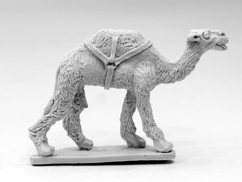 57026V African Camel 28mm scale