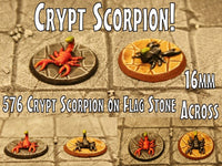 576 Crypt Scorpion on Flag Stone