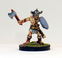 PTD FL3-04: Human in horned Helm with Shield and Axe