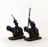 PTD VNT44 Wraiths Riders