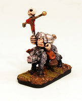 PTD OH26-02: Orc Banner Bearer mounted on a Boar