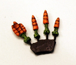 BS011 Carrots