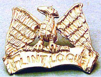 CC1003 Ferach Symbol Badge