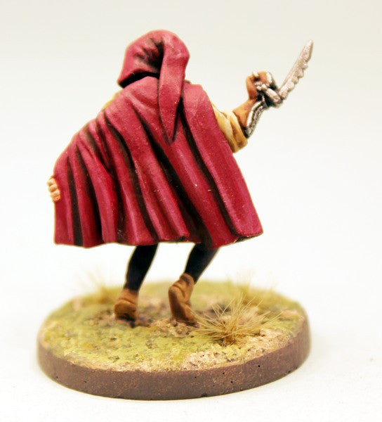 CE22 Elf Assassins