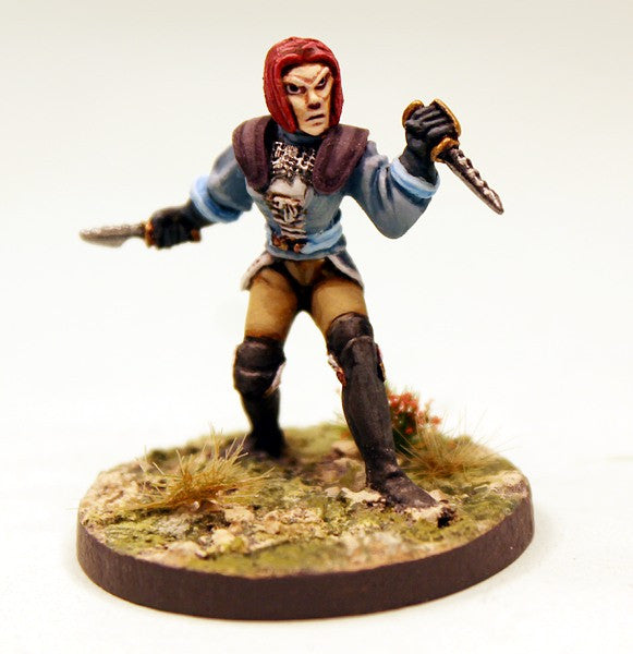 CE22 Elf Assassins