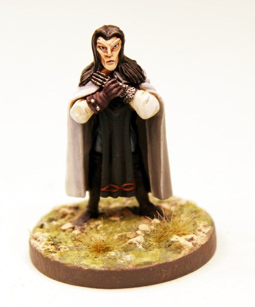 CE22 Elf Assassins