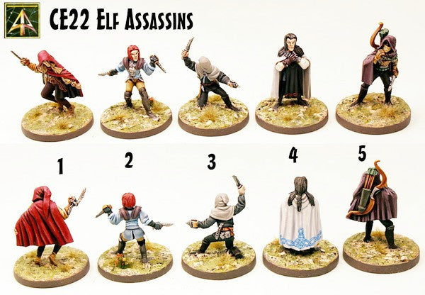 CE22 Elf Assassins