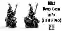 DH12 Dwarf Knights (Pack or Single Miniature)