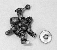 DWM009 Dwarf Warrior with Mace