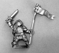 DWM020 Dwarf Heavy Standard Bearer