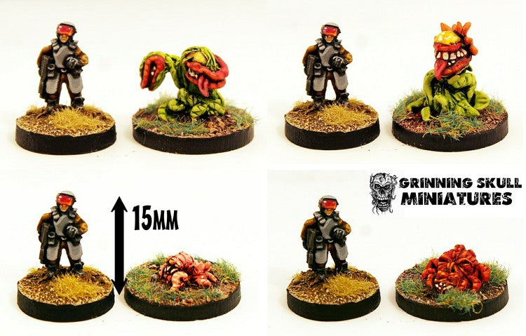 GRNP11 Klorzid Seeders pack and singles