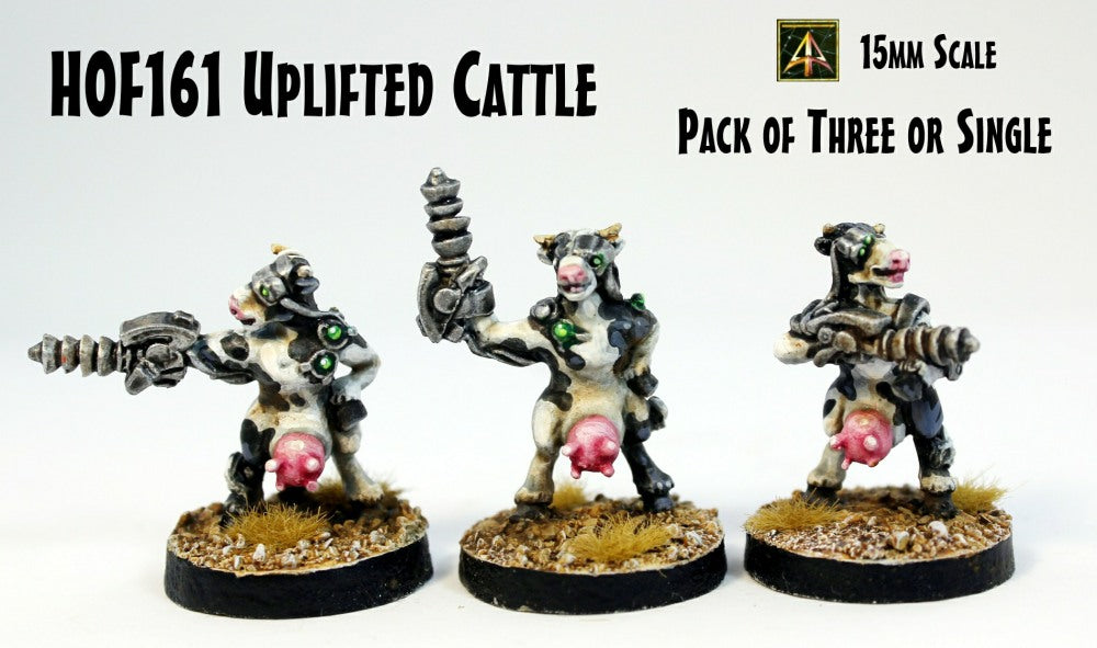 HOF161 Uplifted Cattle