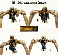 HOF163 Grey Alien Arachnid Command (4 Kits)