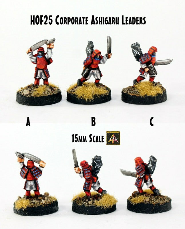 HOF25 Corporate Ashigaru Leaders