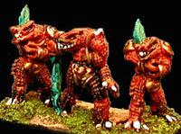 HOT49 Dracci Scout