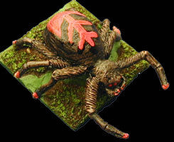 HOT6 Giant Spiders