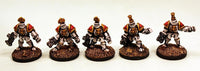 IAFP03 Desteria Lance  (Platoon Pack) - Includes free extra unique miniature!