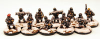 IAFP11 Cold Climes Platoon (Platoon Pack) - Includes free extra unique miniature!