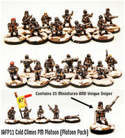 IAFP11 Cold Climes Platoon (Platoon Pack) - Includes free extra unique miniature!