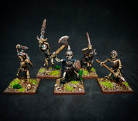 VNT1 The Eternal Guard