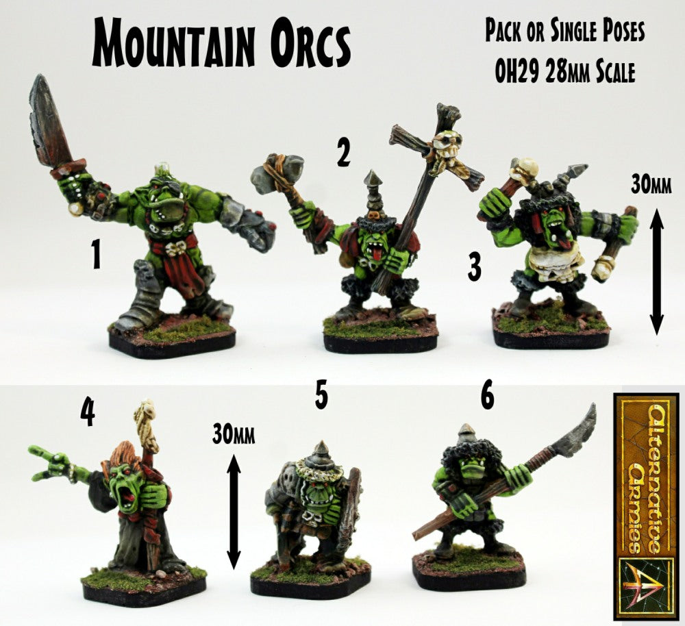 OH29 Mountain Orcs