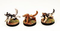 SGFP21 Inugami Hounds Pack