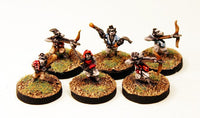 SGFP25 Tanuki Warriors