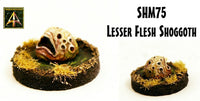 SHM75 Lesser Flesh Shoggoth