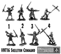 VNT16 Skeleton Command