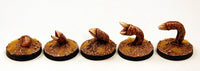 VNT36 Sandworm Swarm