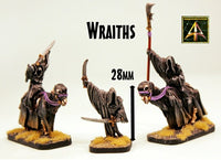 VNT44 Wraiths Riders
